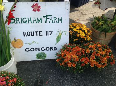 Brigham Mums